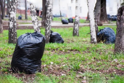 Петербуржцы впервые за 100 лет не примут участие в городской весенней уборке