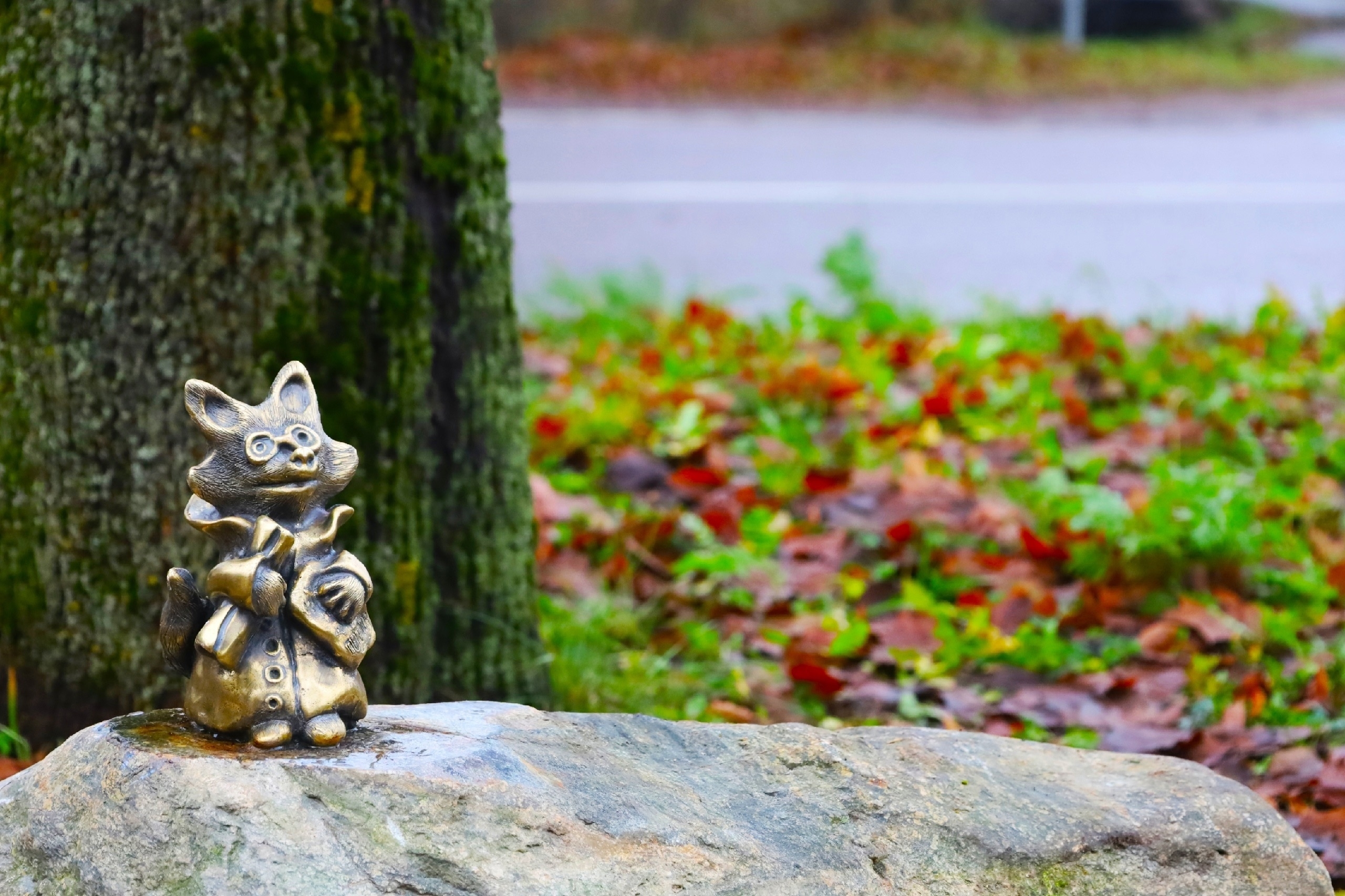 У нас в Петергофе поселился лис.