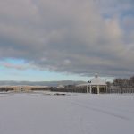 Фото Петергофский пешеход