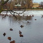 Фото Светлана Сартакова