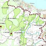 Леса у истоков Водоподводящей системы фонтанов Петергофа получат охранный статус в 2026 году.