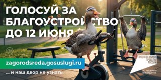 Ooh gusi sport rbgb